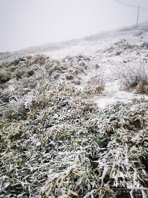 昭通多地今日下雪，叫冷声一片，请注意防寒抗旱！