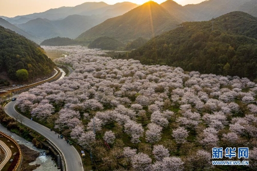 f44d30758ab021c683ab13 f44d30758ab021c683ab13