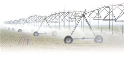 202103310501527797 202103310501527797