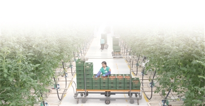 202103310501525525 202103310501525525