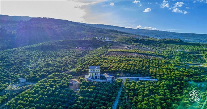 code_ynrbf2acc3dc-465d-49ed-8247-af995bdba258.jpg code_ynrbf2acc3dc-465d-49ed-8247-af995bdba258.jpg