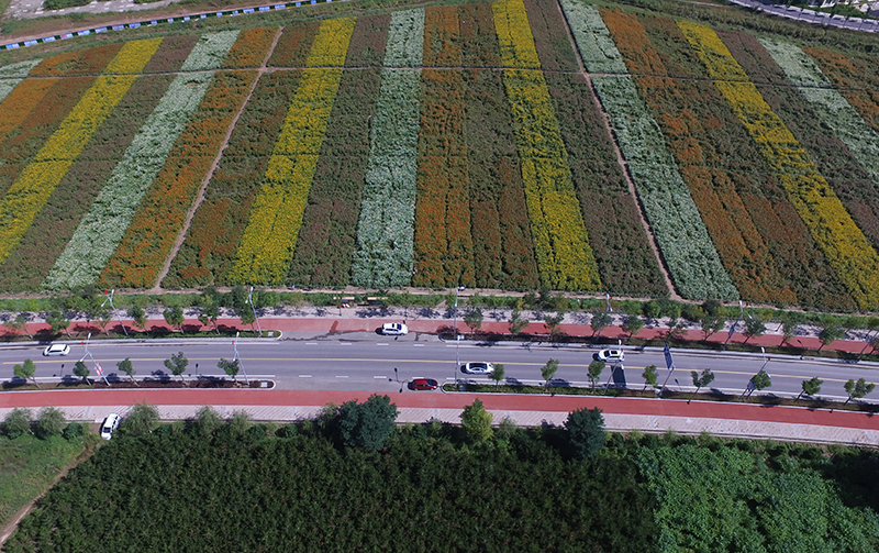 车辆从延安南泥湾景区旁的公路驶过.jpg