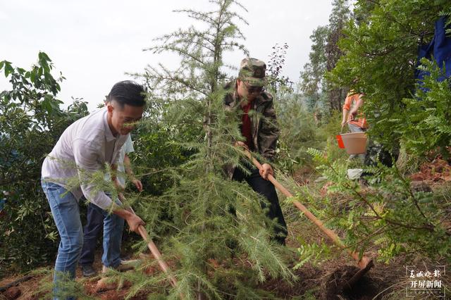植树正当时！阳宗海干群“撸袖”添新绿