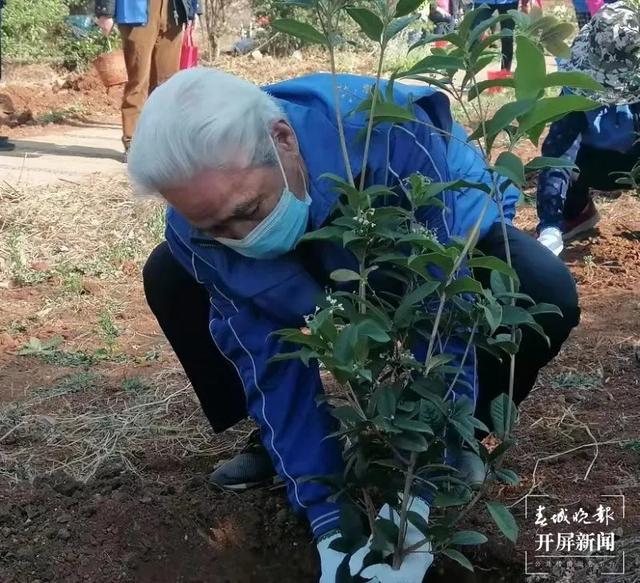官渡区40余名“银霞志愿者”植树播绿