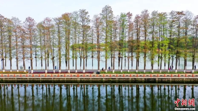 市民游客在东湖绿道骑行、散步。周星亮 摄