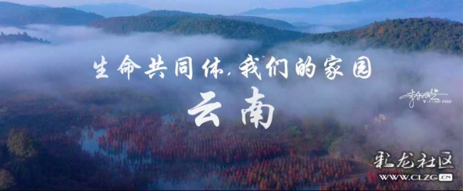 16186465667004660225394013379_68788