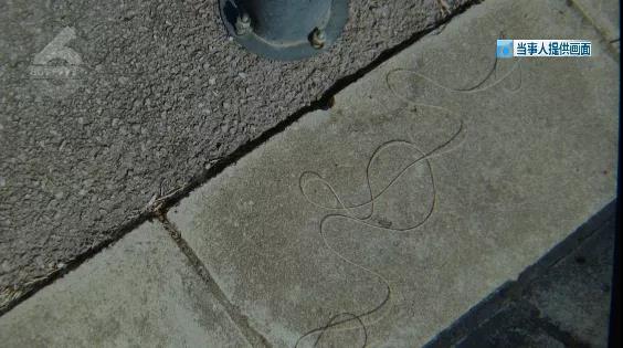 外卖小哥骑车被风筝线“割喉”!