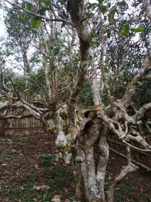 4e8653d45dfe0040cad2be9457b8564 4e8653d45dfe0040cad2be9457b8564