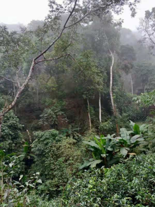 6ca3347e56b184505f2651389e3fc15 6ca3347e56b184505f2651389e3fc15