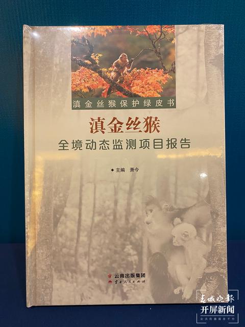 滇金丝猴