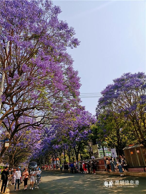 微信图片_20210501145324 微信图片_20210501145324