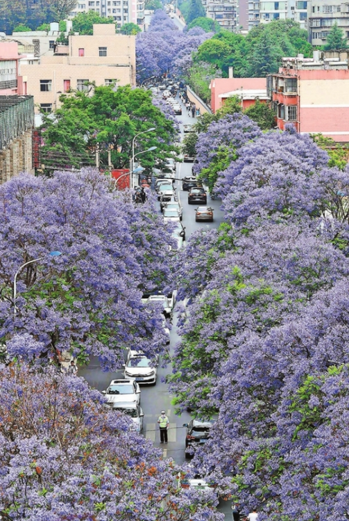 微信截图_20210502091345