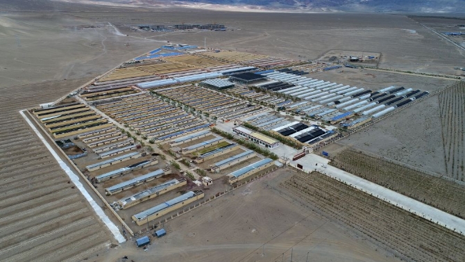 XxjdzbC007068_20210511_CBMFN0A004