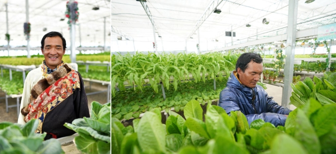 XxjdzbC007068_20210511_CBMFN0A002