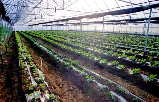 640.webp (2) 640.webp (2)