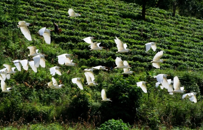 640.webp (3) 640.webp (3)