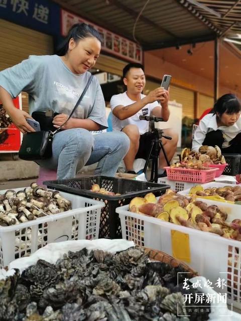 鸡油菌来啦，昆明市场有卖！预计端午节前后野生菌将大量上市 春城晚报-开屏新闻记者 杨质高 摄影报道