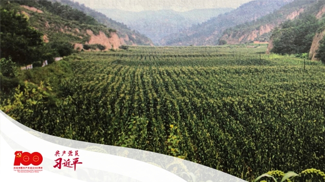 2021051715293337095 2021051715293337095