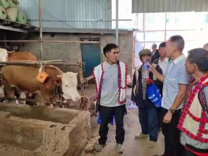 微信图片_202105231010285 微信图片_202105231010285