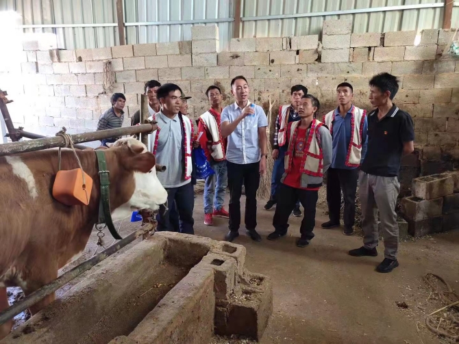 微信图片_202105231010287 微信图片_202105231010287