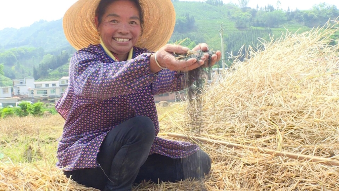 0e893de22d30213ce92ccd438dc59afe 0e893de22d30213ce92ccd438dc59afe