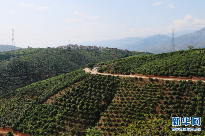 139984040_16225950391461n 139984040_16225950391461n