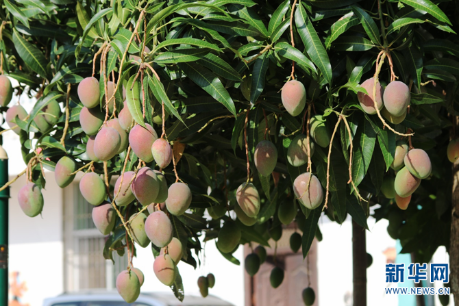 139984040_16225950393891n 139984040_16225950393891n