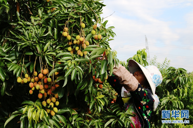 139984040_16225950397521n 139984040_16225950397521n