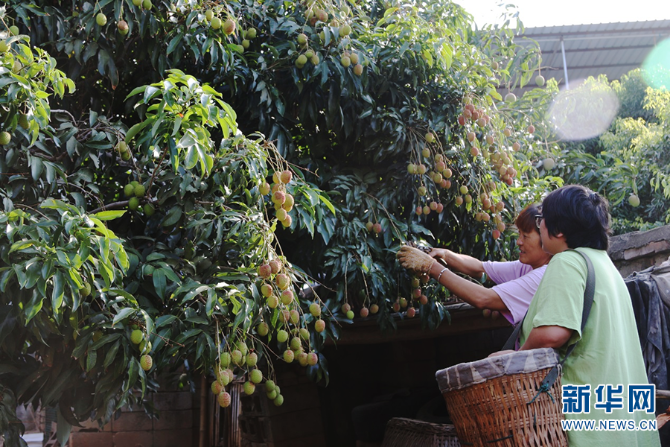 139984040_16225950400621n 139984040_16225950400621n