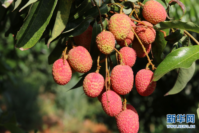 139984040_16225950403361n 139984040_16225950403361n