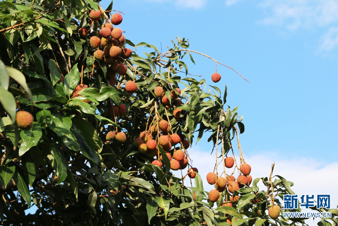 139984040_16225950407271n 139984040_16225950407271n