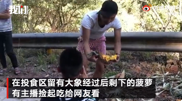 网络主播吃播象群吃剩的菠萝2.png