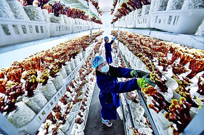 宁夏:建设黄河流域生态保护和高质量发展先行区 宁夏:建设黄河流域生态保护和高质量发展先行区