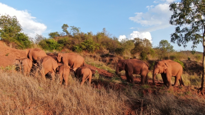 2021年6月7日晋宁夕阳乡5