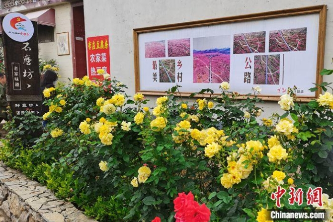 李庄村的街道旁种满鲜花。上官云 摄 点击进入下一页