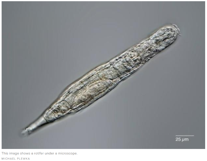 34e8ee727d034d1db66e1df748bc5315