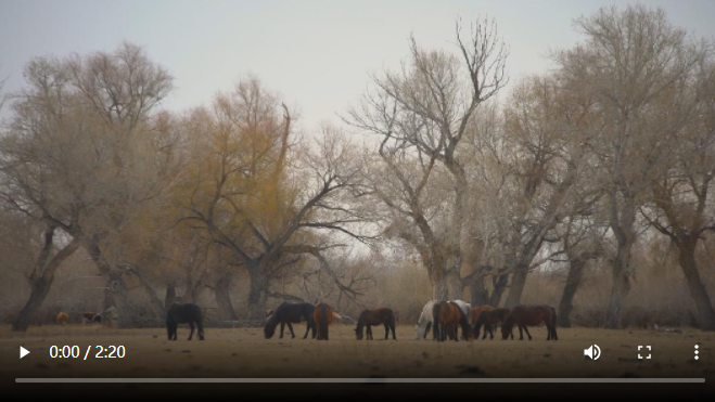 微信截图_20210611170437 微信截图_20210611170437