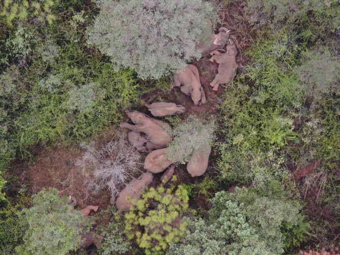 DJI_20210611090724_0010_Z DJI_20210611090724_0010_Z