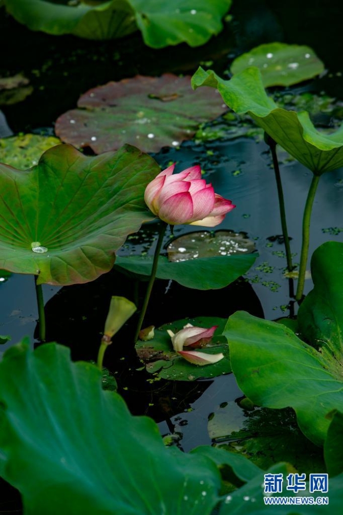 1310004187_16235445660601n