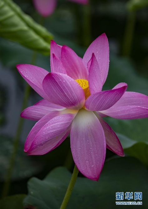 1310004187_16235445651371n