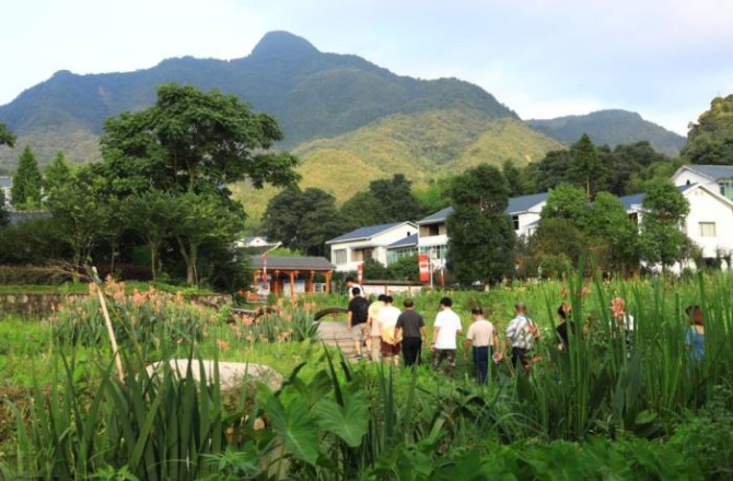 风景秀美的高峰村