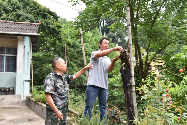 泸水：为祖国守好西南生物生态安全第一道屏障13.jpg