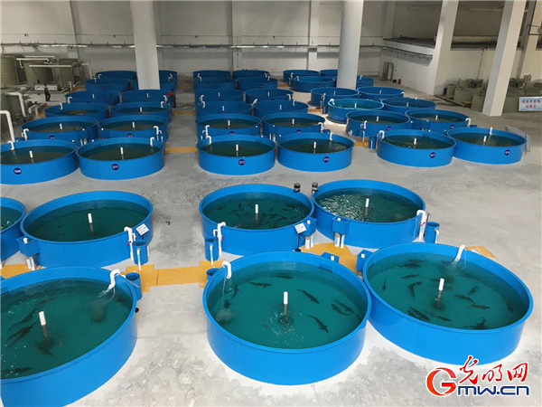 【强国中坚 高质量发展看国企】发力新智造打造新引擎，中部国企转型发展进行时