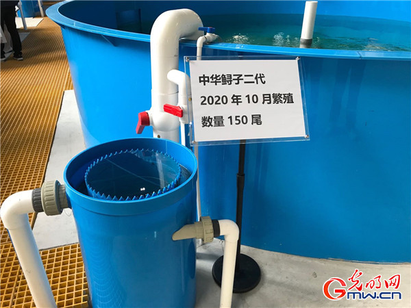 【强国中坚 高质量发展看国企】发力新智造打造新引擎，中部国企转型发展进行时