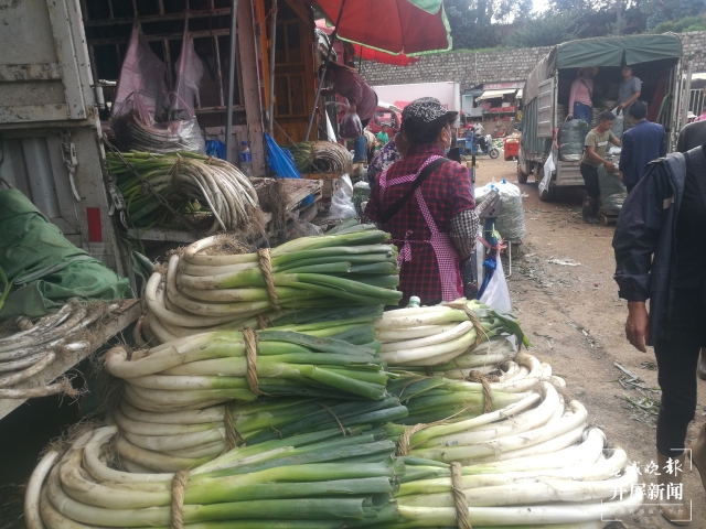 昆明大葱降价(春城晚报-开屏新闻记者 夏体雷 摄)