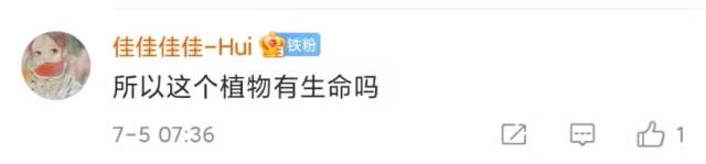 神秘的吃虫植物上了热搜！1.7亿网友围观！