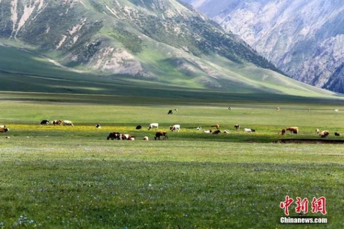 点击进入下一页