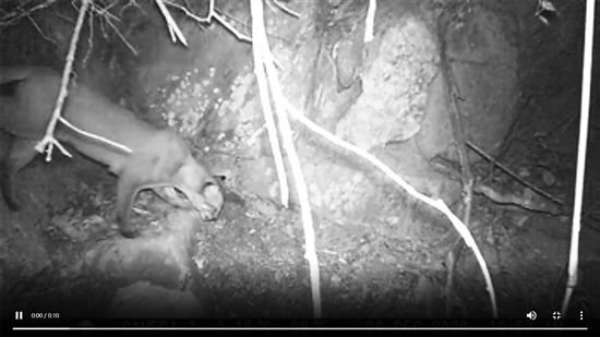 20210707A07_res11_attpic_brief 20210707A07_res11_attpic_brief