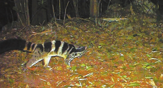 20210707A07_res15_attpic_brief 20210707A07_res15_attpic_brief