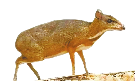 20210707A07_res19_attpic_brief 20210707A07_res19_attpic_brief